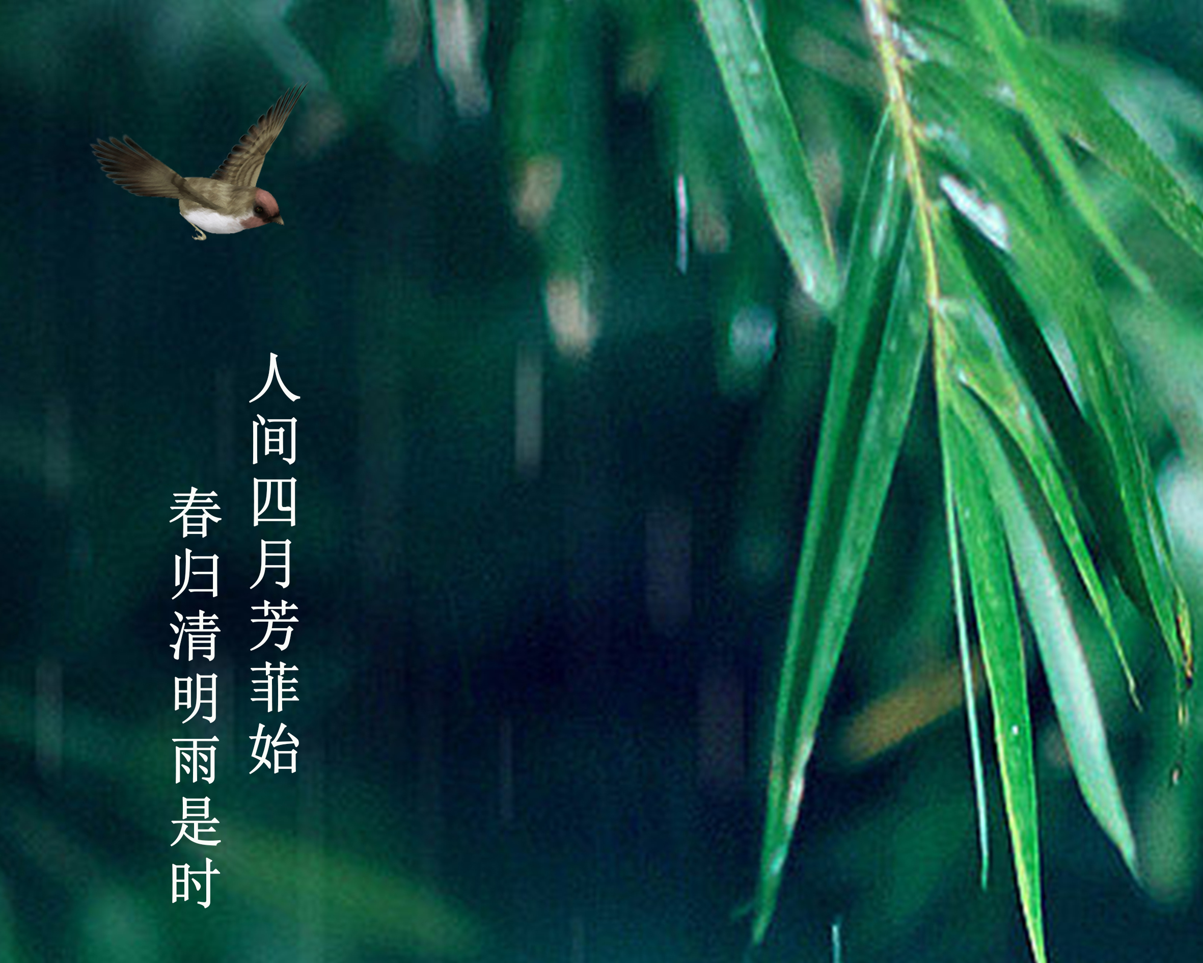 上城摩卡商城|春风化雨 万物清明